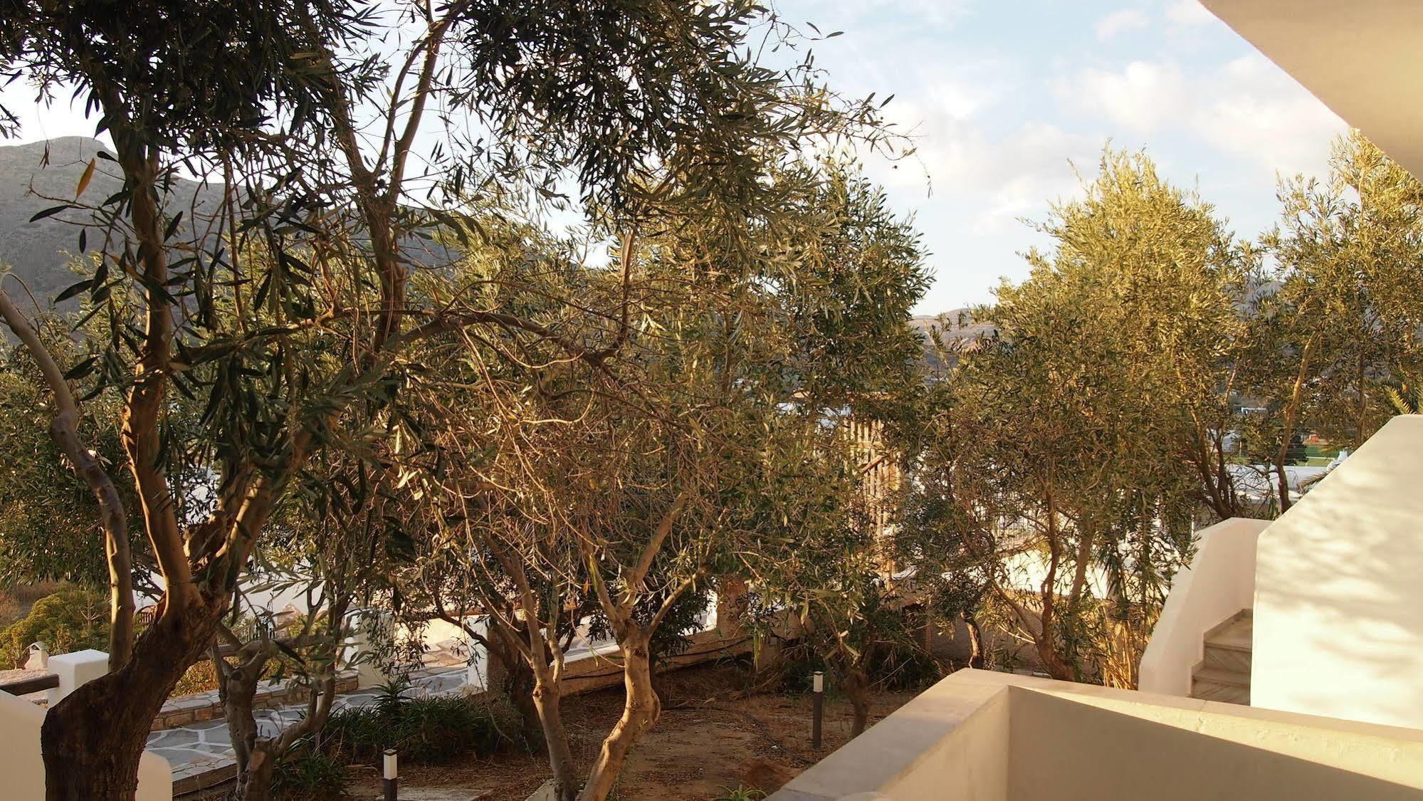 Homer'S Inn Hotel Chora  Esterno foto